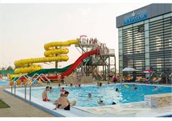 S.C. Solarex S.R.L, Satu Mare program de funcționare