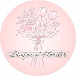 SIMFONIA FLORILOR S.R.L., Suceava program de funcționare