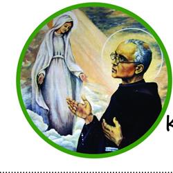 Kolbe Könyv- és Kegytárgybolt, Oradea program de funcționare