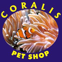Coralis Pet Shop în Bucureşti, Sector 6 - program de funcționare