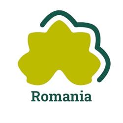 LEBOSOL ROMANIA SRL, Afumaţi program de funcționare