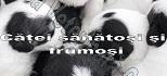 Cabinet medical veterinar "Dr.Dinu M. Ştefan" - Caracal, program de funcționare