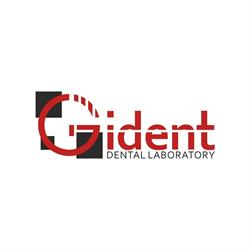 GIDENT SRL, Baia Mare program de funcționare