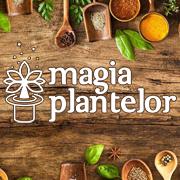 Magia Plantelor, Craiova program de funcționare