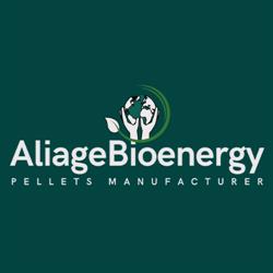 Aliage Bioenergy Srl, Nădlac program de funcționare