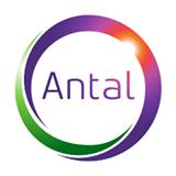 Antal International Iasi Office, program de funcționare