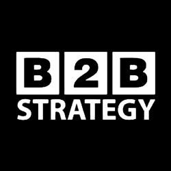 B2B Strategy, Timişoara program de funcționare