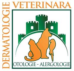 Regatul Animalelor, Bucureşti program de funcționare