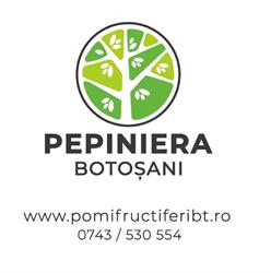 Pepiniera Botoşani, program de funcționare