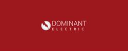 DOMINANT ELECTRIC SRL, Târgu Mureş program de funcționare