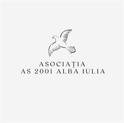 ASOCIAŢIA AS 2001 ALBA IULIA, Alba Iulia program de funcționare