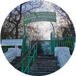 LICEUL TEHNOLOGIC DRAGOMIR HURMUZESCU, Medgidia program de funcționare