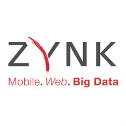 ZYNK SOFTWARE, Cluj-Napoca program de funcționare