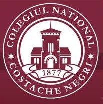 COLEGIUL NAŢIONAL COSTACHE NEGRI, Galaţi program de funcționare
