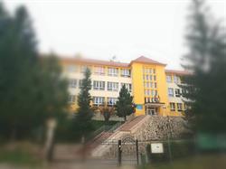 LICEUL TEHNOLOGIC LIVIU REBREANU, Bălan program de funcționare