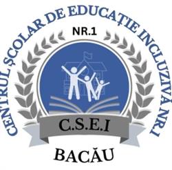 Centrul Şcolar de Educaţie Incluzivă Nr. 1 Bacău, program de funcționare