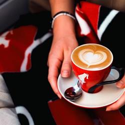 Lacto Bar Cafe, Deva program de funcționare