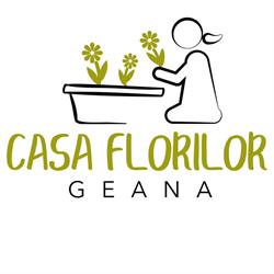 GEANA SRL, Vama program de funcționare