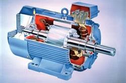 REBOMAS ELECTRO SRL, Murfatlar program de funcționare
