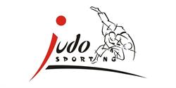 JUDOSPORTING SRL, Curtea de Argeş program de funcționare