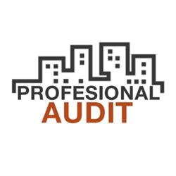 PROFESIONAL AUDIT SRL, Craiova program de funcționare