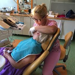 DENTAL PARTNER SRL, Ştei program de funcționare