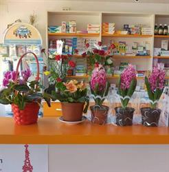 IANCU FARM SRL, Poiana Mare program de funcționare