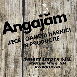 Smart Impex, Moftinu Mare program de funcționare