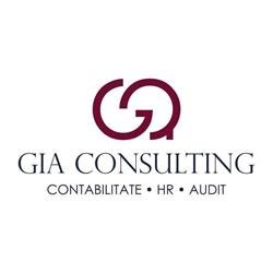 G.I.A. CONSULTING SRL, Timişoara program de funcționare