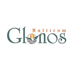 SC GLONOS MULTICOM SRL, Salonta program de funcționare
